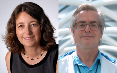 What makes COVID-19 dangerous? Researchers find clues in immune response