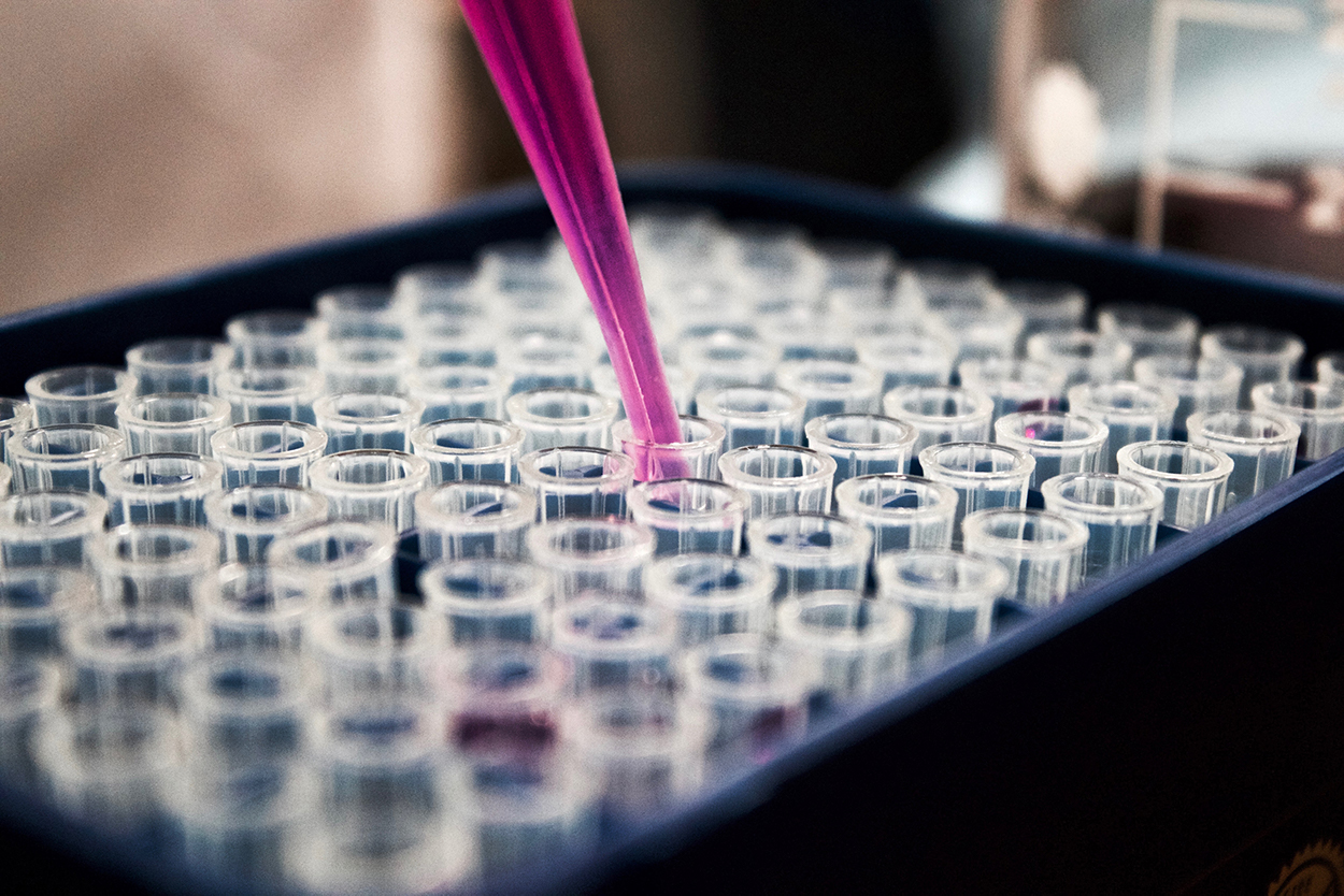 Carefully adding liquid to a tray of test tubes