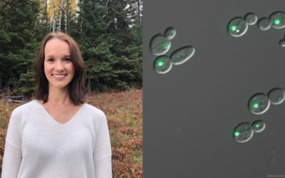 World Antimicrobial Awareness Week: How U of T researchers are tackling the global challenge of antimicrobial resistance