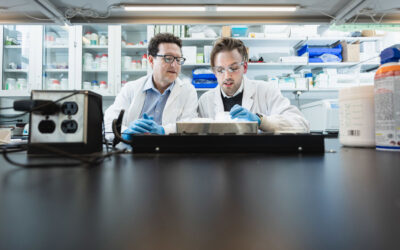 How bending implantable medical devices can enable infectious organisms to gain a toehold