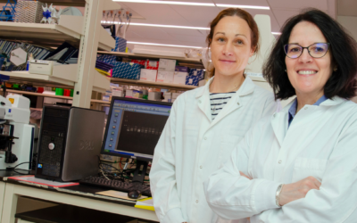 Can “sleeping” bacteria spread antibiotic resistance genes?