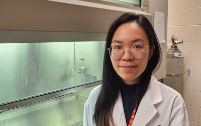 Boosting immune memory to enhance protection against flu