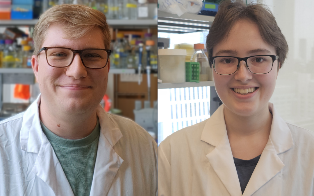 Newly identified bacterial defence systems open avenues for treating drug resistant infections