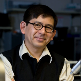 From viral RNA domains to stress granules – biological discovery and therapeutic potential