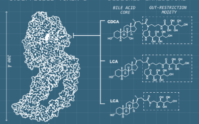 SickKids-led study reveals promising gut-targeted therapy for C. difficile infections